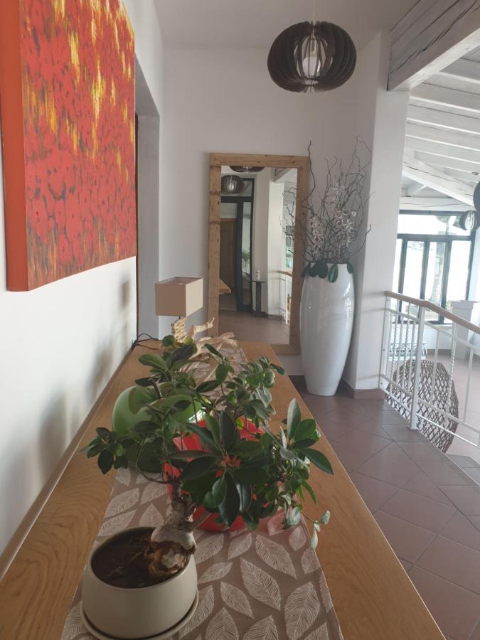 Hotel La Favorita 佩斯基耶拉德加达 外观 照片